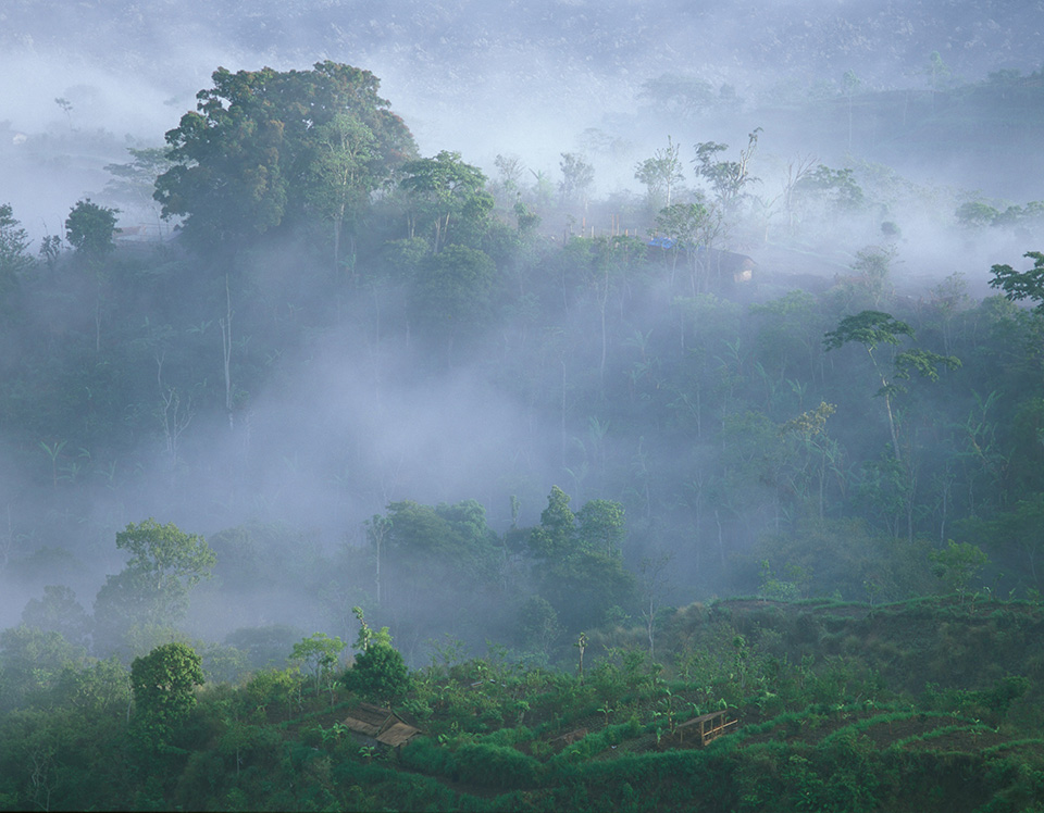 Bali mist