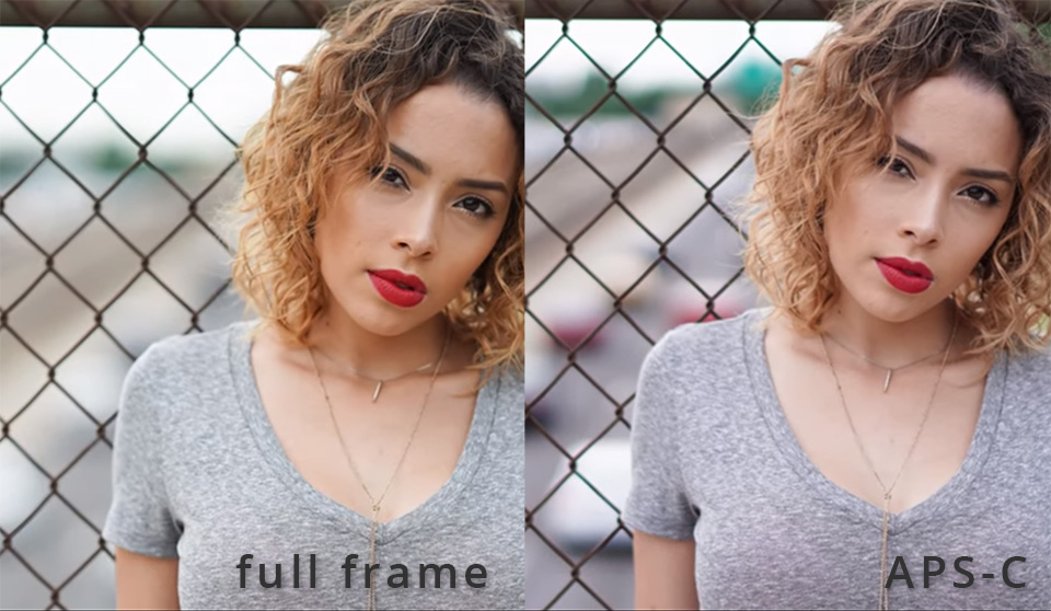 Full frame vs aps c ortiz