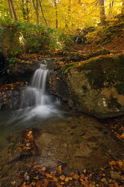 Waterval in een herfstbos