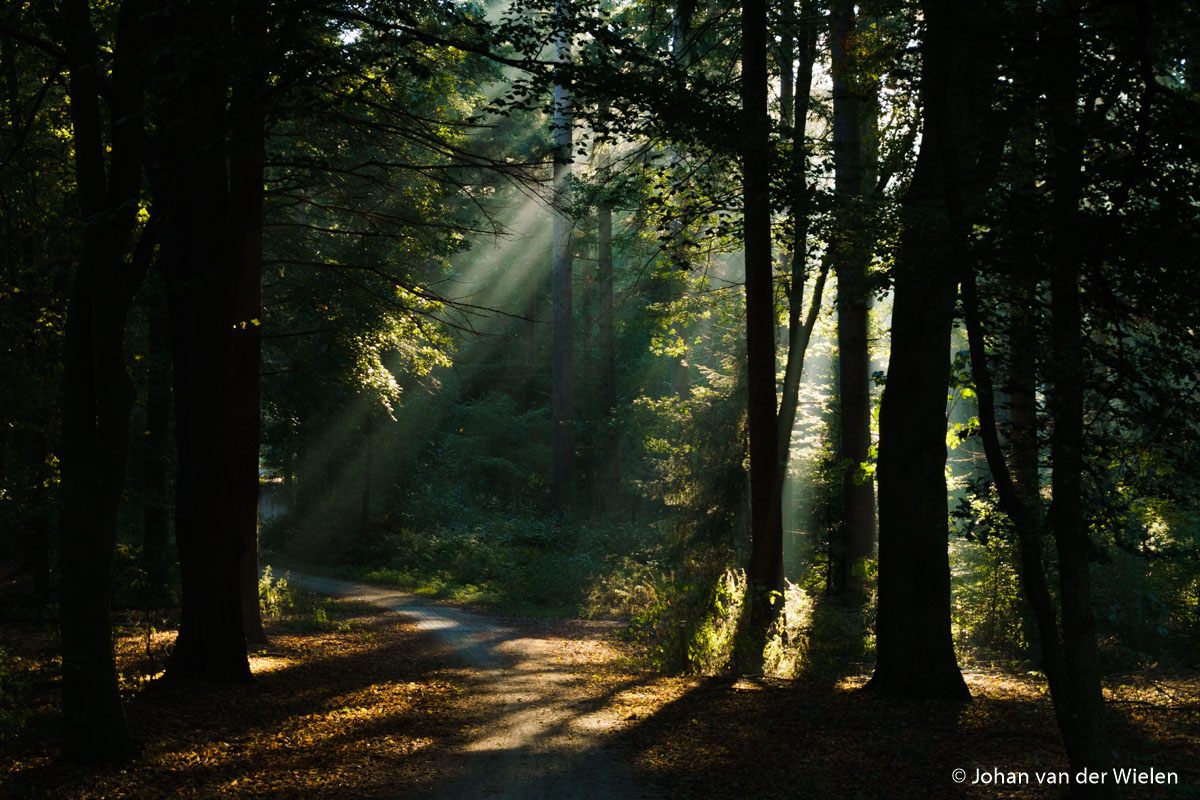 Review: sony alpha 6000 systeemcamera photofacts