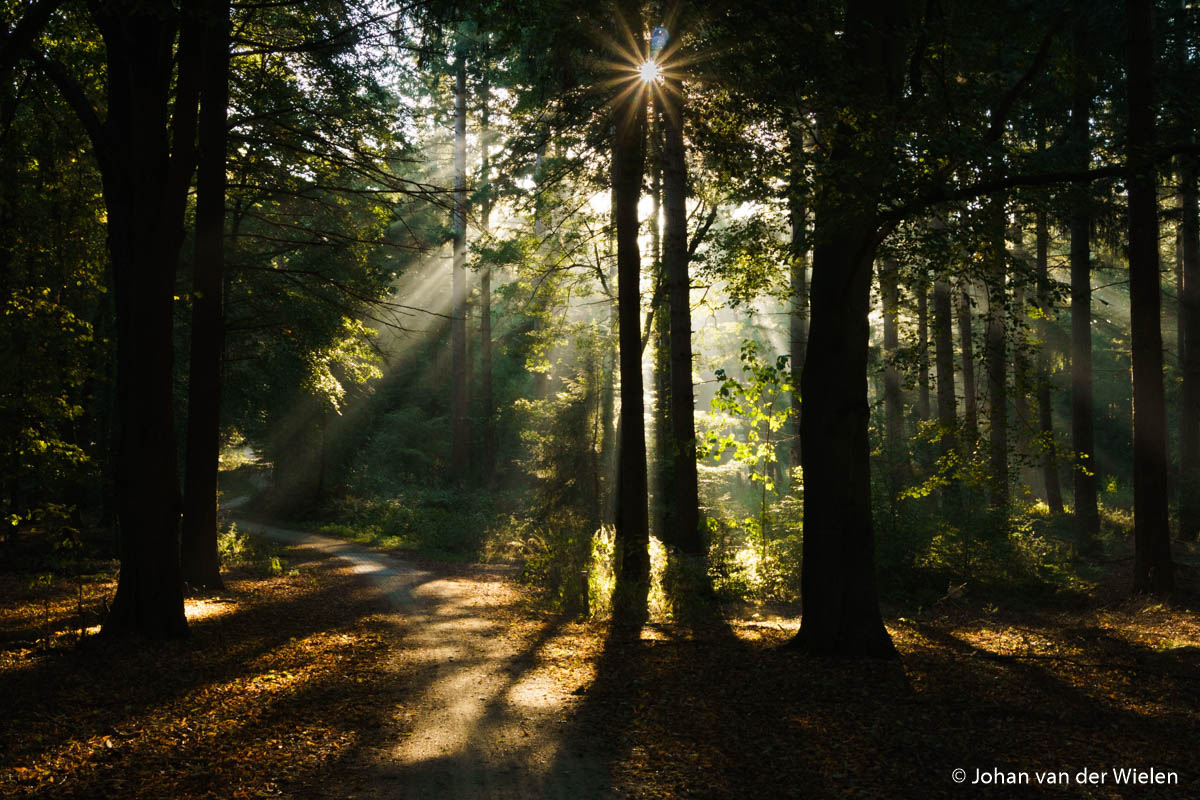 Review: sony alpha 6000 systeemcamera photofacts