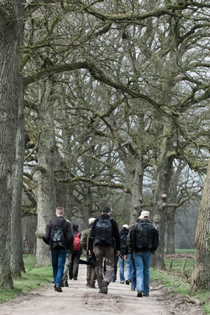 Wandelen Wandelen