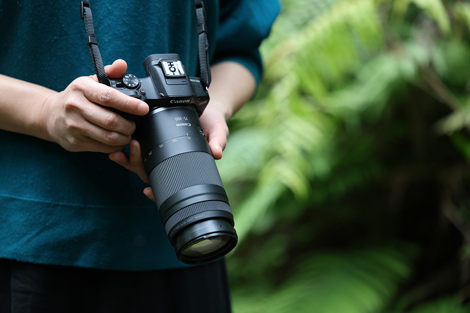 CanonRF75300mm CanonRF75300mm