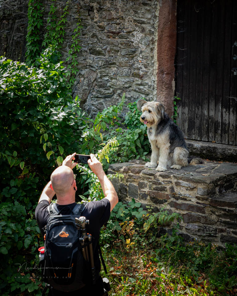Nando fotograferen smartphone Nando fotograferen smartphone