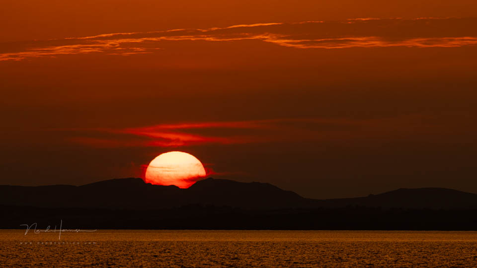 Nando zon belicht lichte delen Nando zon belicht lichte delen