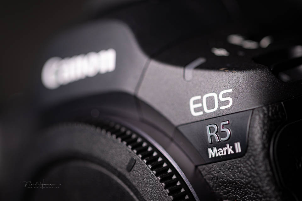 Nando teleurstelling canon eos r5m2 Nando teleurstelling canon eos r5m2