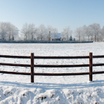 Panorama foto's van besneeuwde weilanden