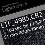 Lightroom: info tekst over de foto weghalen