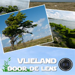 Fotografieweekend; Vlieland door de Lens