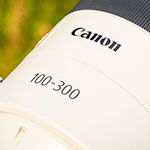 Review: Canon RF 100-300mm f/2.8L IS USM