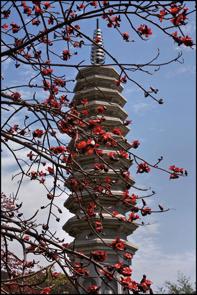 Pagoda Xiamen