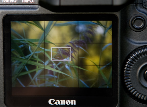 Live view op de Canon 1D mk3