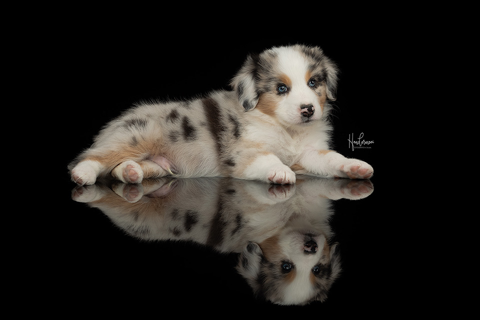 Reflectie Reflectie