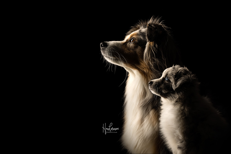 Samen poseren profiel Samen poseren profiel