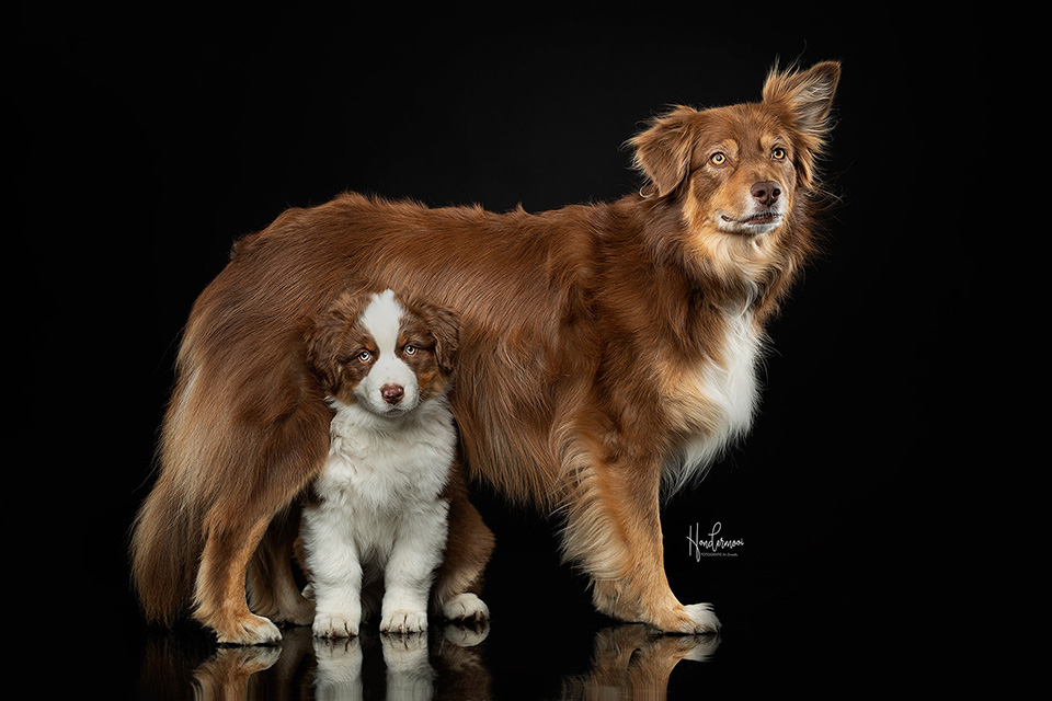 Samen poseren Samen poseren
