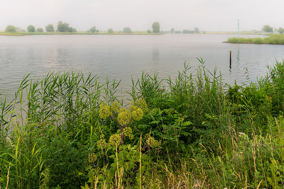 Horizonvervuiling in de mist