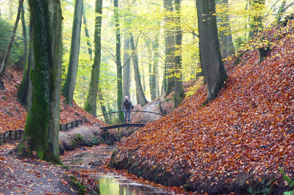 Heuvels in Nederland