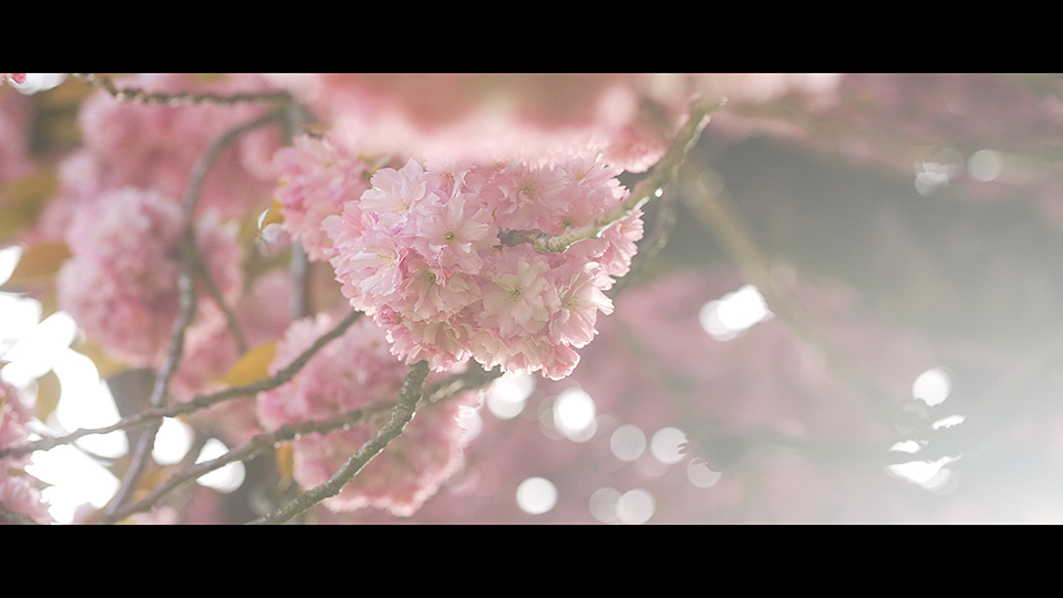 Cinematic vlog Cinematic vlog