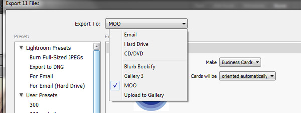 Moo export1 Moo export1