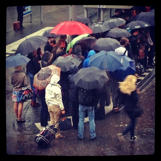 De zomer van Auke Rensen.JPG