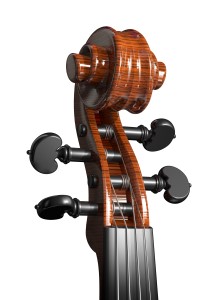 Violin 300