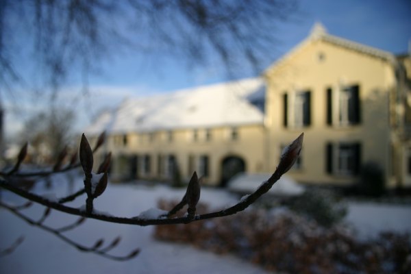 Sneeuw doet het goed op foto's