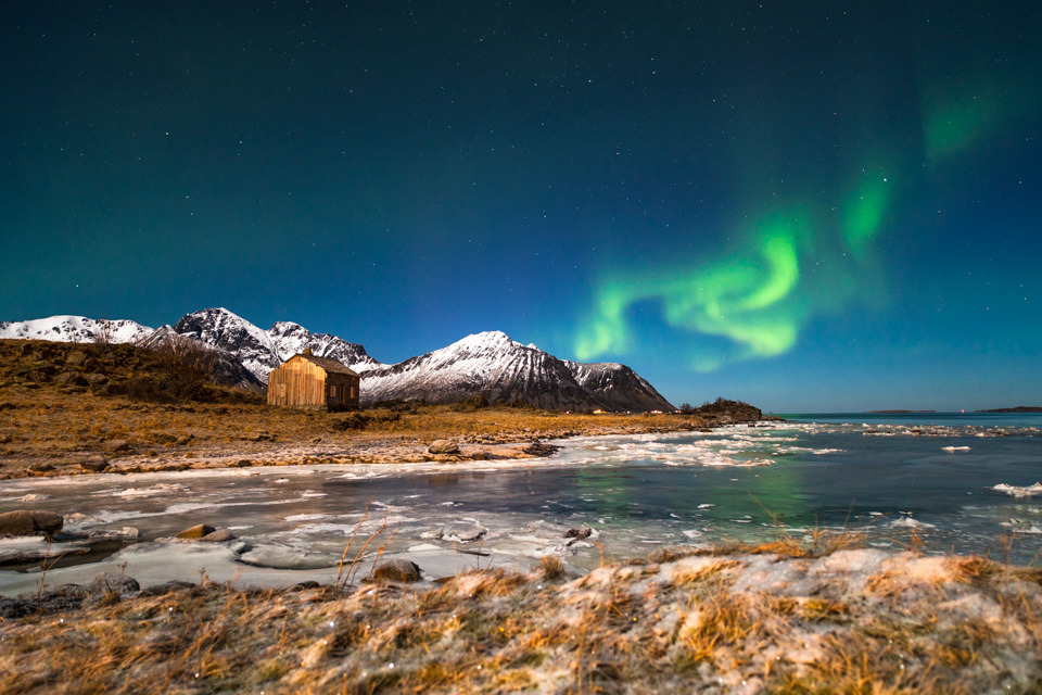 Noorderlicht Lofoten Noorderlicht Lofoten