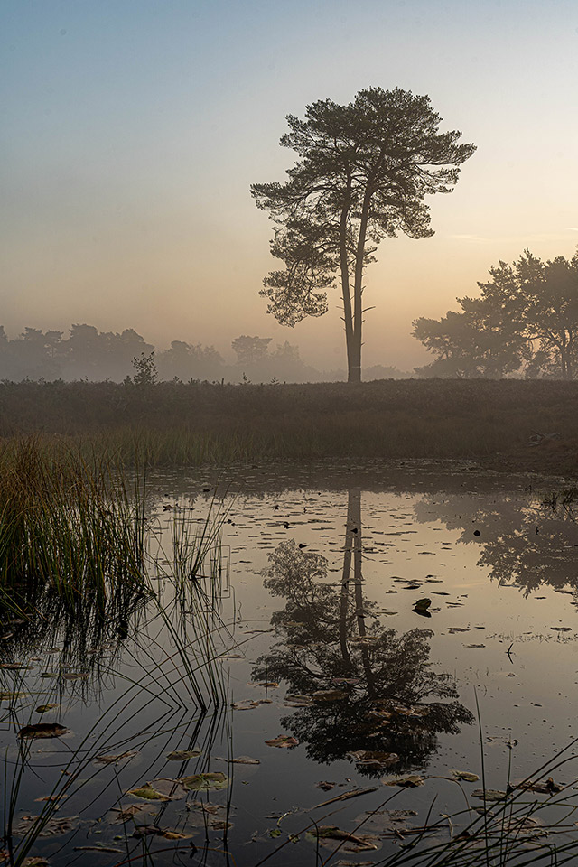 Beegderheide Beegderheide