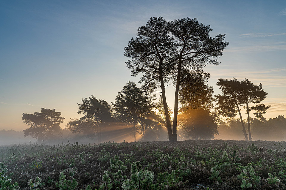 20201019 Beegderheide2 opname zonder titel 7309106