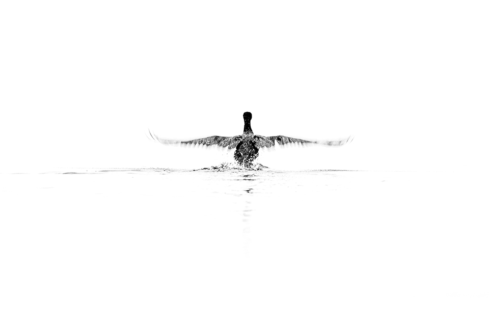 20201202 Oolderplas en Busjop opname zonder titel 7301717 20201202 Oolderplas en Busjop opname zonder titel 7301717