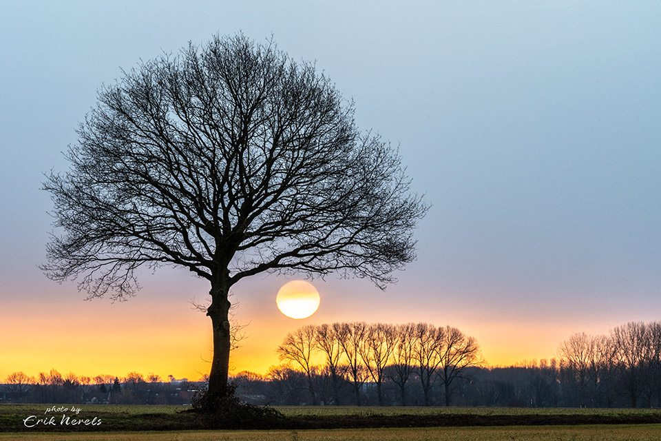 20210222 Linnerhei boom opname zonder titel 7303539(2)