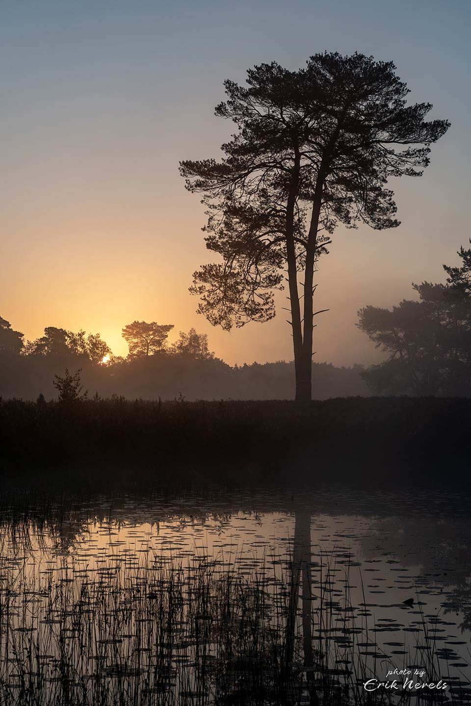 20210528 Beegderheide2 opname zonder titel 7301403