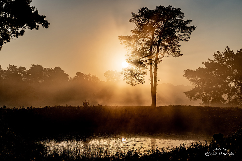 20210528 Beegderheide2 opname zonder titel 7301418