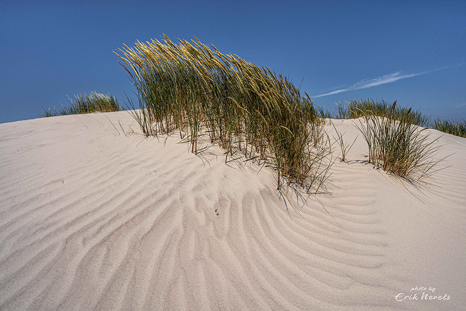 Patronen in het zand