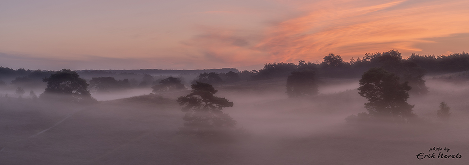 Ochtendmist Brunssummerheide