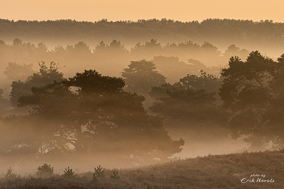 Brunssummerheide