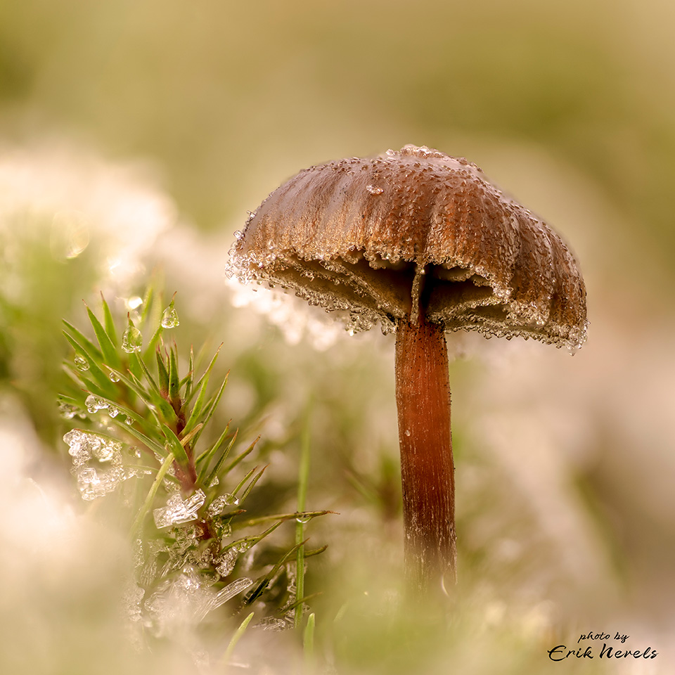 Blog26 3 Blog26 3