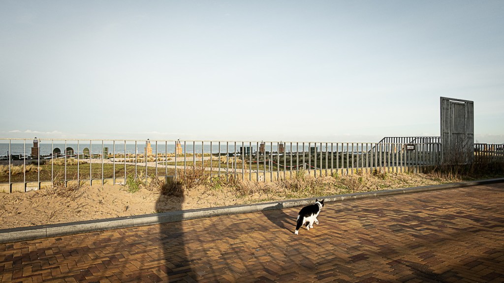 Weglopende kat op Scheveningen