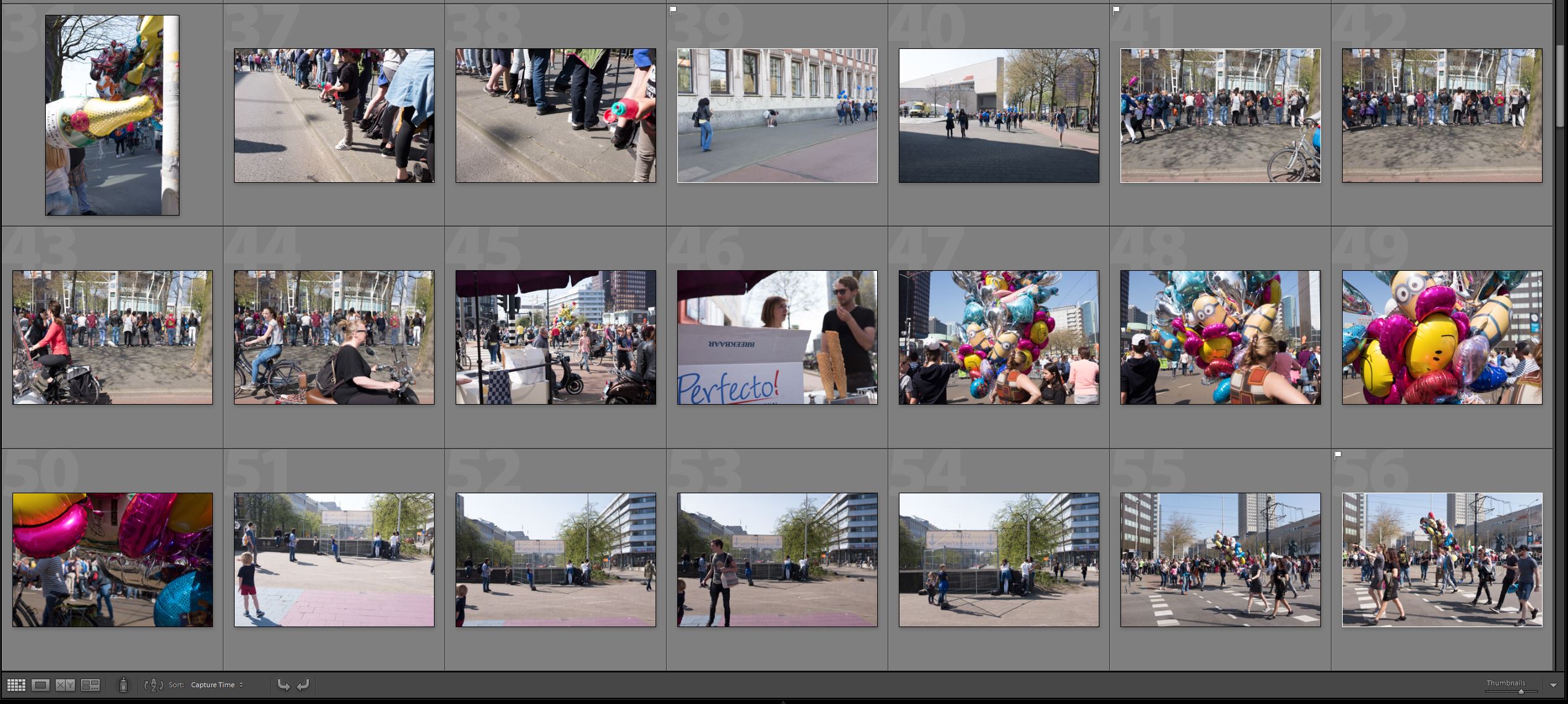 Lightroom Bibliotheek