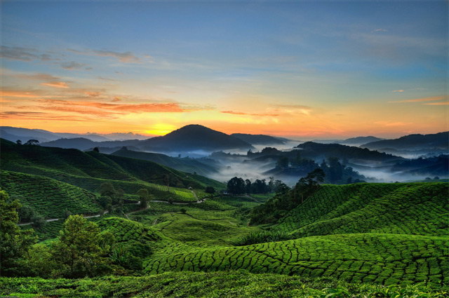 Cameron highlands sunrise