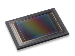 Canon 120 megapixel APS-H CMOS sensor