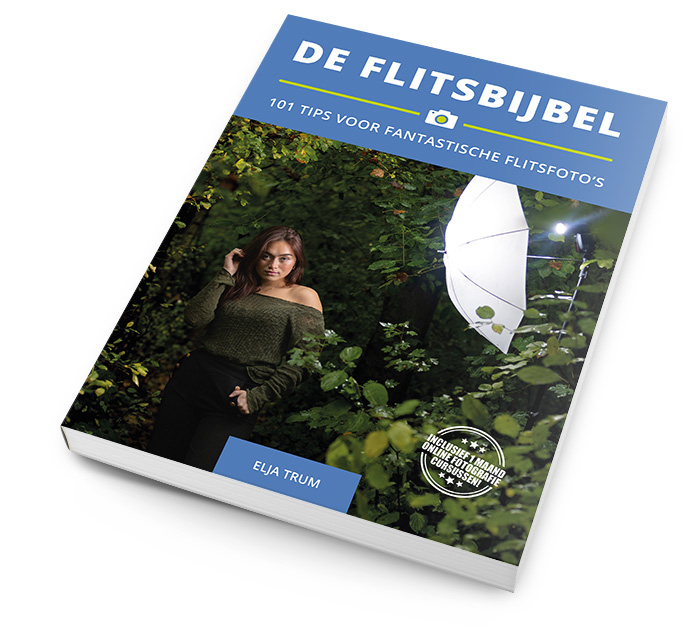 De Flitsbijbel