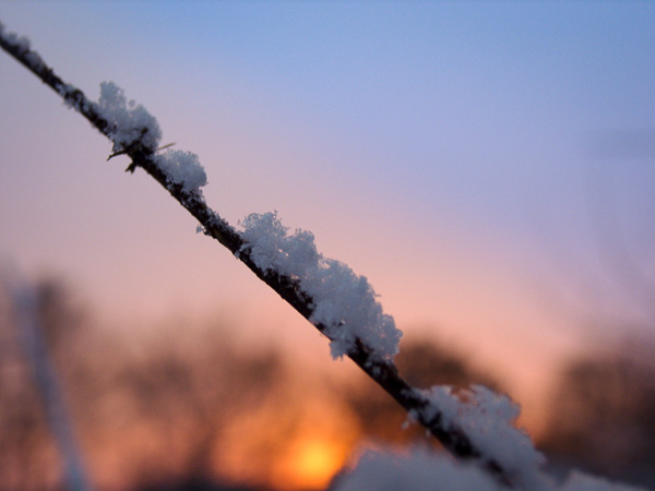 Detail sneeuw