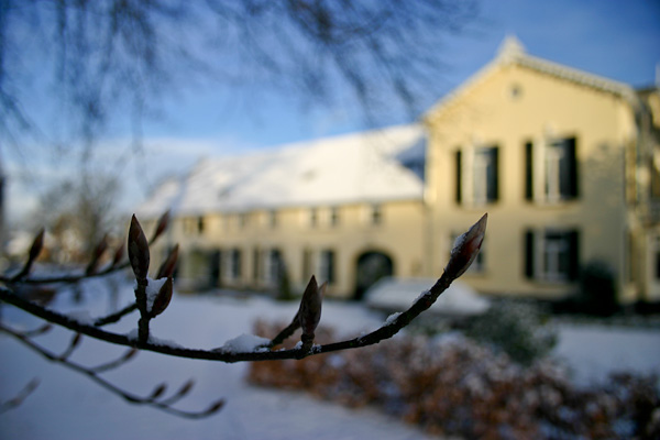Driehuizerweg sneeuw Driehuizerweg sneeuw