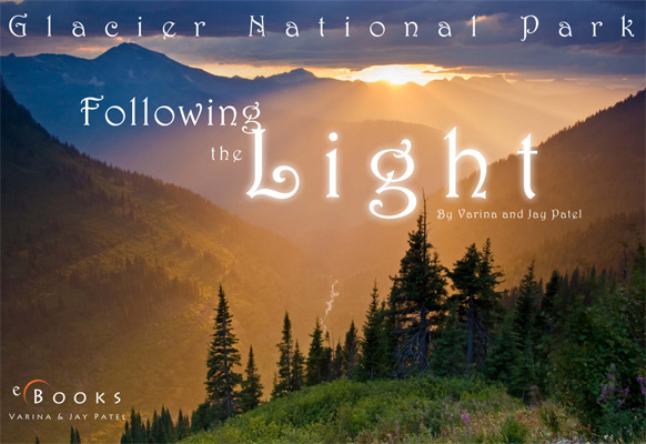 Following the Light Following the Light