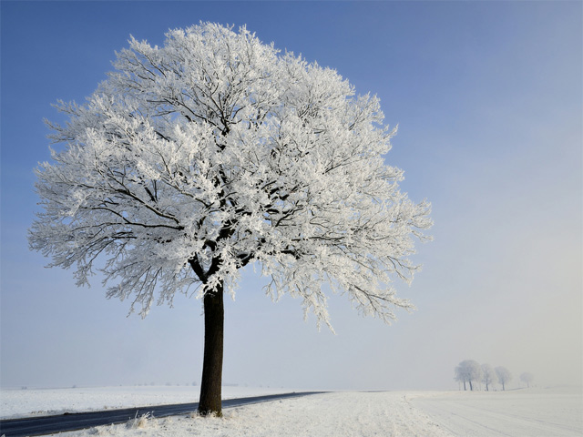 Freezing Fog door Pierre