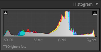 Histogram goed belicht Histogram goed belicht