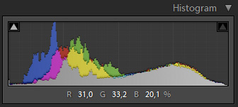 Histogram