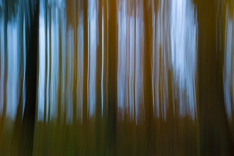 Bewust Bewogen Foto Bewust Bewogen Foto