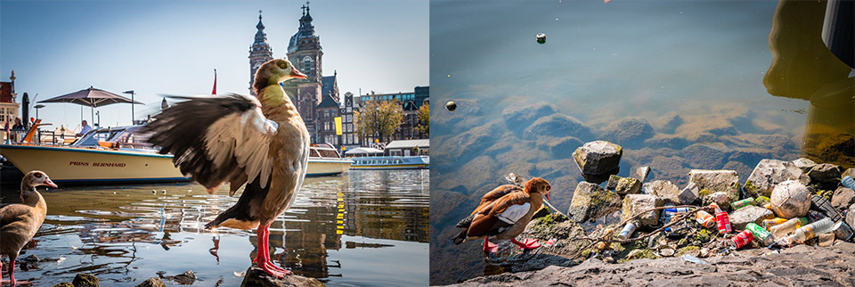 Winnende foto van Bibi Winnende foto van Bibi